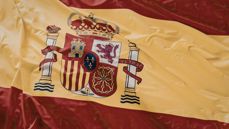 Illustration representing heraldry study materials and coats of arms